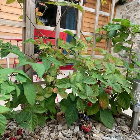 La Basse Monniere Bed & Breakfast