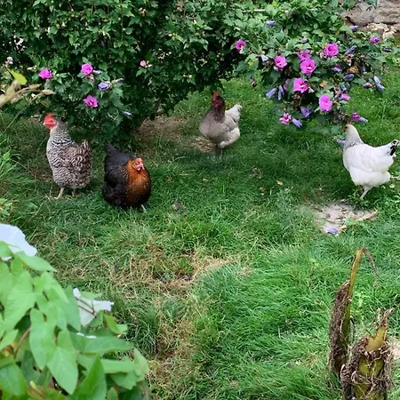 Bed & Breakfast La Basse Monniere 3*