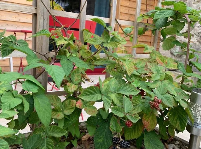 La Basse Monniere Bed & Breakfast