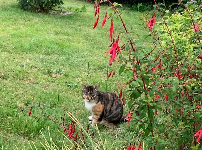 La Basse Monniere Sevremont