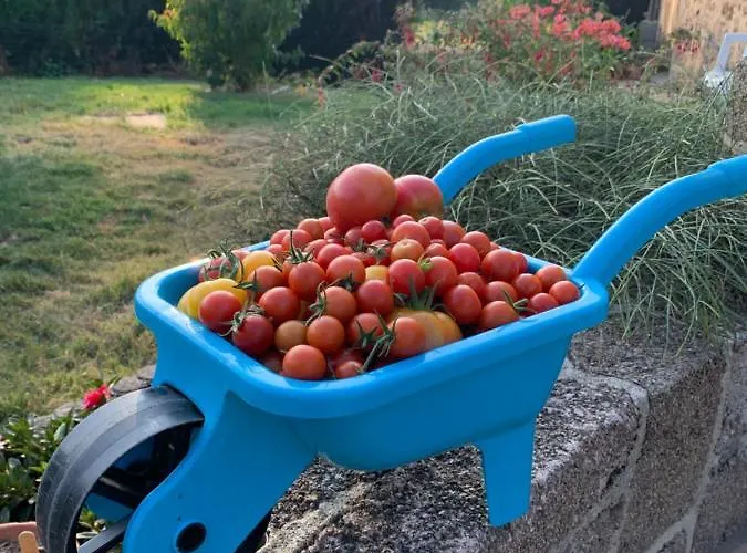 Panzió La Basse Monniere Sevremont