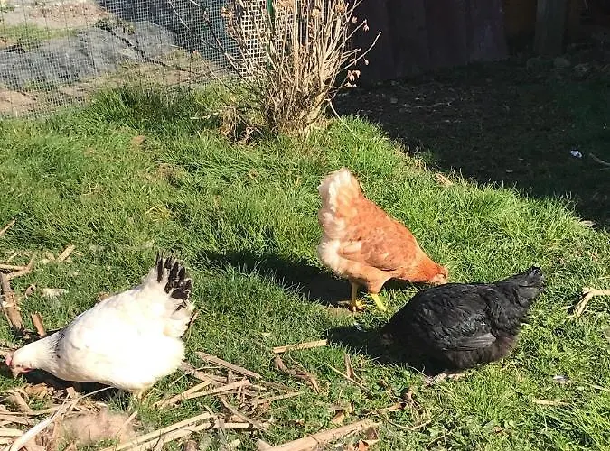 La Basse Monniere Sevremont